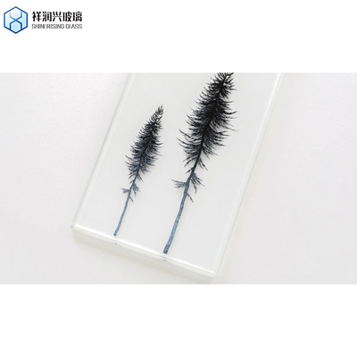 Verre trempé teinté sur mesure avec un motif complexe répondant à la norme GB15763.2-2005